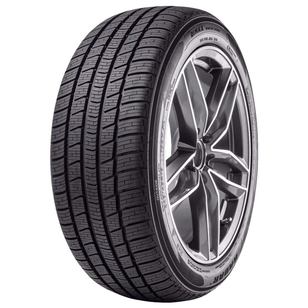 Radar Dimax Winter Sport 215/45 R17 91V XL