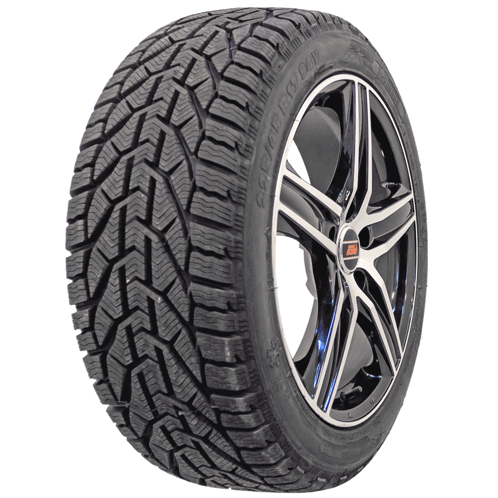 Taurus Winter 185/65 R15 88T
