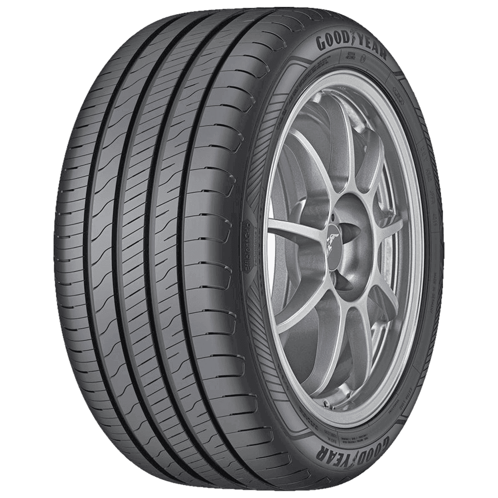 Goodyear EfficientGrip Performance 2 205/55 R16 91H