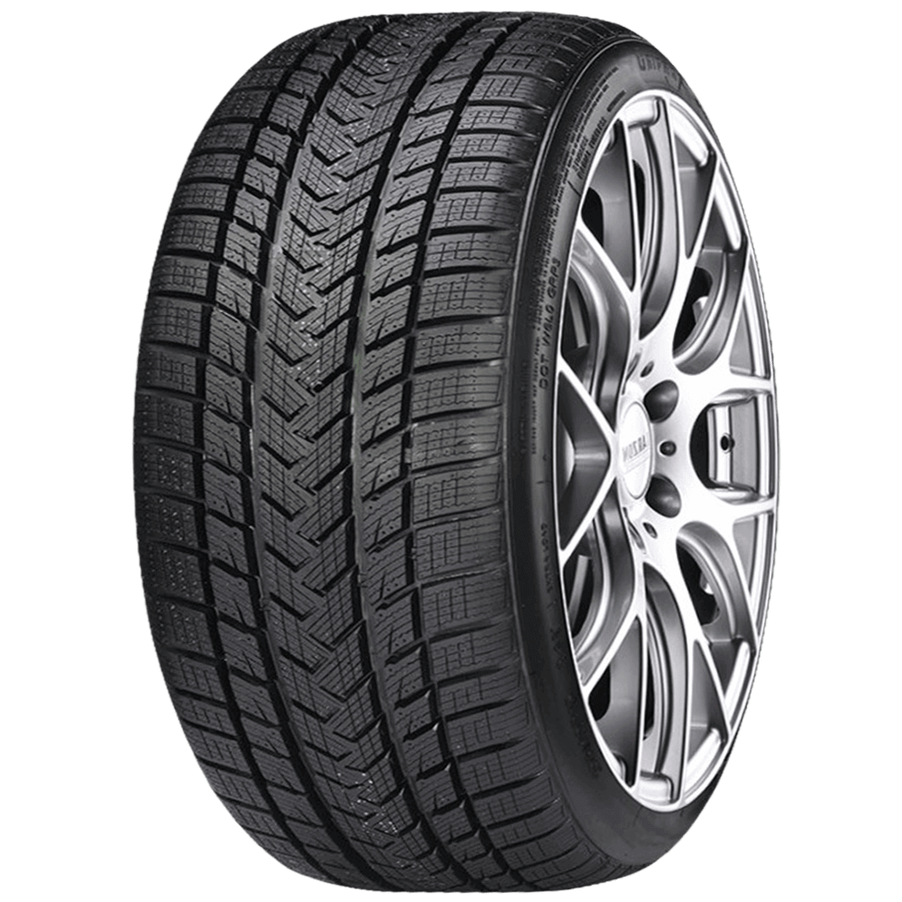 Gripmax SureGrip Pro Winter 255/40 R21 102V XL